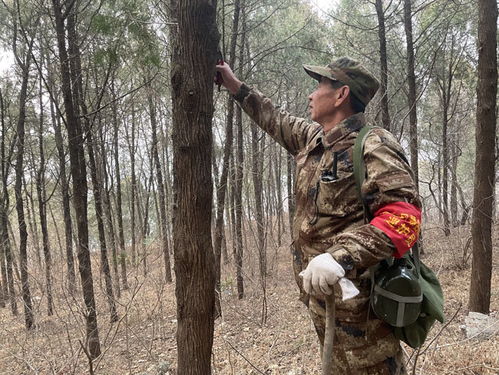 新春走基层 刘采法护林员在岗的最后一个春节