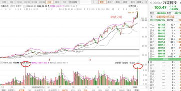 为什么财务管理的目标是最大化现在股票价格而不是未来股票价格？