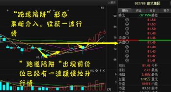 持有某只股票，在股市中怎样参与网络投票？