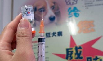 狂犬疫苗多少钱什么时候打注意事项,狂犬疫苗有效期副作用有哪些