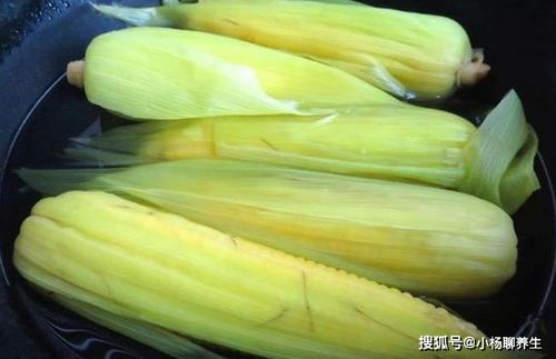 新鲜芡实怎么煮好吃又营养