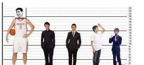 中国男性平均身高最高的十个省市,山东第一,北京第二