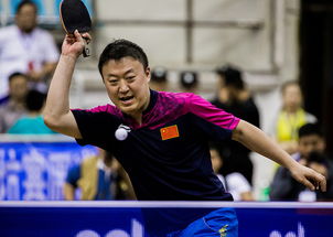 最高规格对抗赛 中欧乒乓球明星对抗赛在昌举行