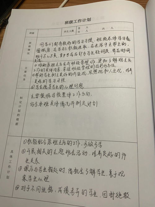 小学班级班会记录内容范文,班会记录格式怎么写？