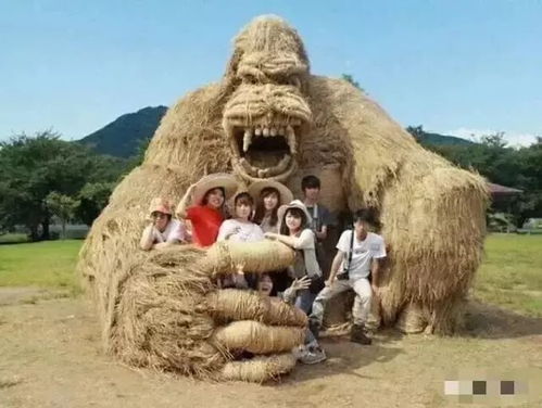 门票无限送 庆元旦 迎新年 南宁花雨湖生态休闲旅游区首届恐龙园稻草人旅游节隆重来袭