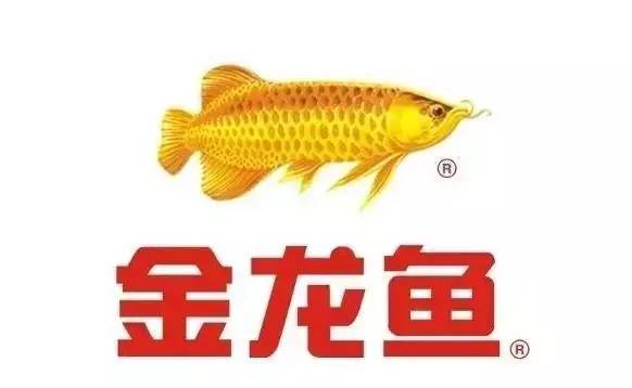 金龙鱼是中国品牌吗