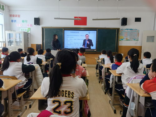 青岛安全教育平台