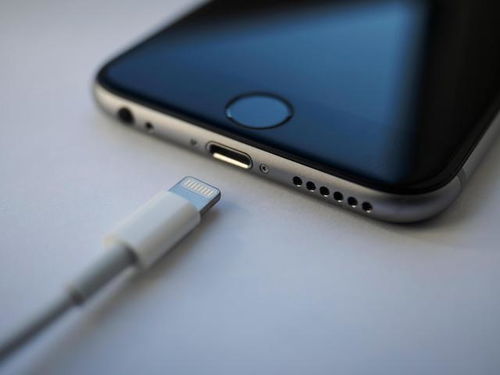 苹果突然发起一项调查,暗示iPhone12真的不送充电器