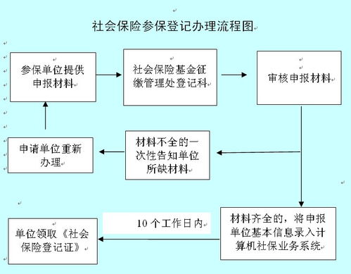 北京新增社保人员办理流程有哪些(北京市贯彻执行社会保险法)