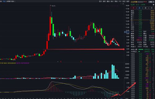 举例一家公司的基本面分析