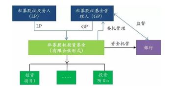 你知道证券投资基金的个人投资者都包括哪些吗