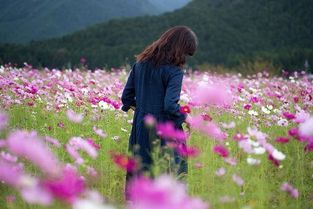 如何斩断男人的烂桃花,挽回夫妻感情,稳固婚姻 