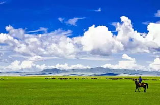 西藏 青海 新疆 暑假就要开车去这些地方浪