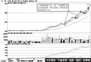 以往牛市涨势最好的股票有什么特征？是否可以作为未来牛市的选股参考？