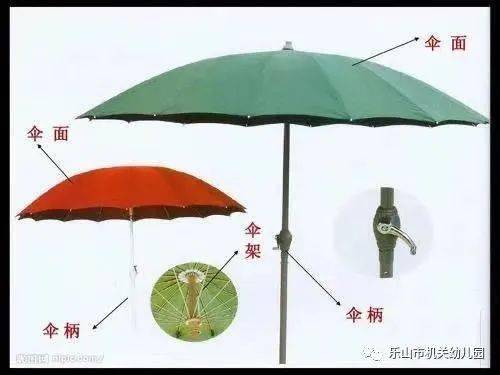 奇妙的雨伞种子