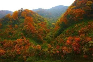 美呆了 那些最适合秋季旅行的地方,一年去一个可好