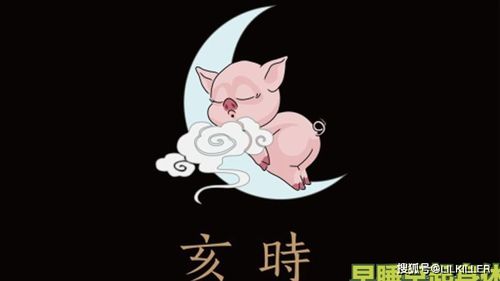 生肖猪7月运势 正月猪多愁善感,二月猪非常黏人,三月猪压力变大