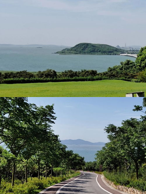 国庆出游 苏州西山岛旅游避坑指南,景点交通住宿美食怎么选不踩雷