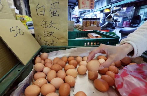 台湾掀起 晒鸡蛋 炫富风 是时候珍惜上海人的蛋料理了