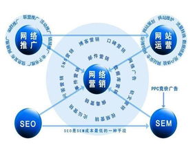 如何策划成功的营销活动，6个维度，28个具体步骤，PPT模板-JN SPORTS(图16)