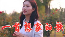 感人民谣,女歌手一首 一首想家的歌 深情感人,听完我哭了