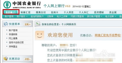 中国农业银行怎么查余额(农行网上银行查询)