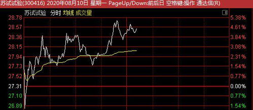 请问炒股高手炒股的时候看盘口信息主要是说看哪几个主要部分