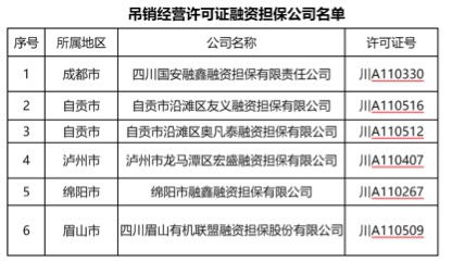 举报融资担保公司违法