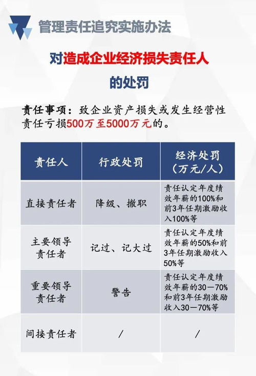 董事会应对以下哪些情节的内部审计部门负责人和直接责任人追究责任