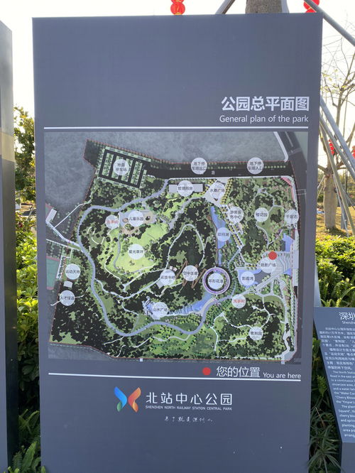 深圳遛娃 打卡北站中心公园 星空乐园 