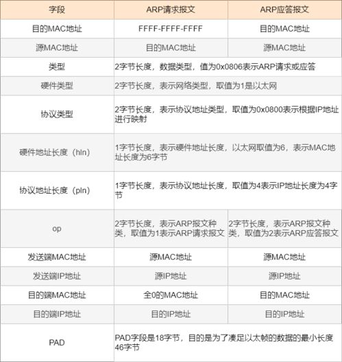 XXXXXL19D18配置详解，助你快速上手使用技巧