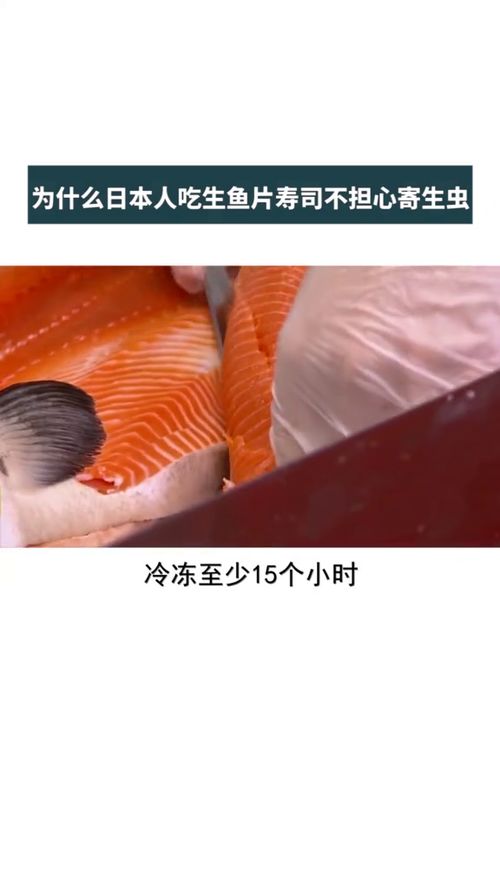 为什么日本人吃生鱼片寿司不担心寄生虫 