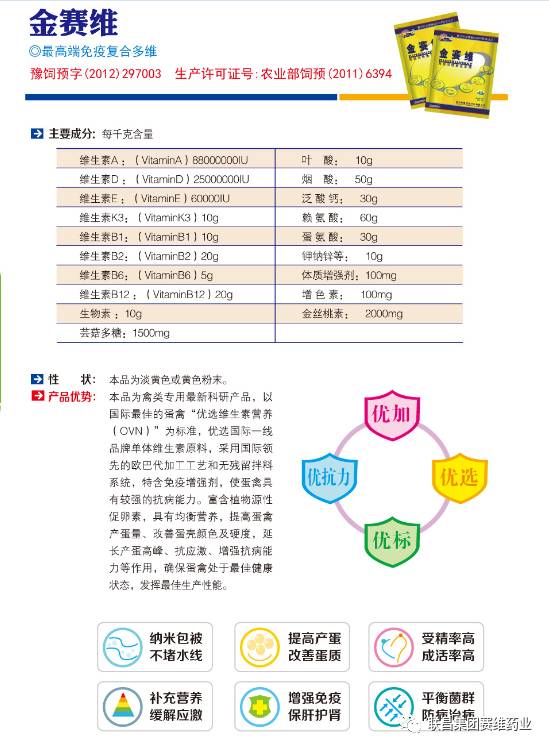 鸡感冒的五个阶段