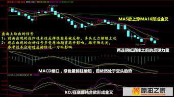 中国资产市场大涨