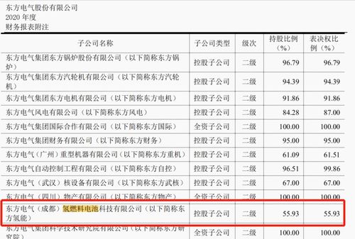 目前国内有新能源燃料有哪家企业做得最好