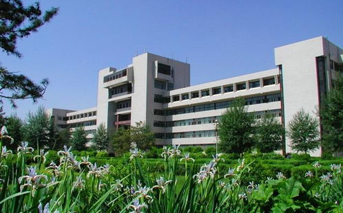 内蒙古科技大学怎么样？内蒙古科技大学怎么样知乎