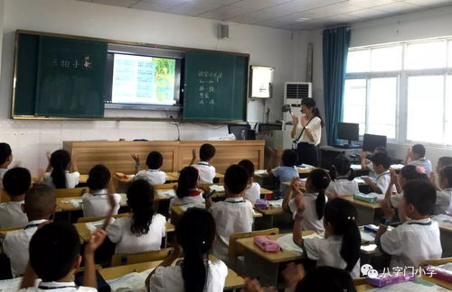 展风采 促教研 助成长 记八字门小学新教师见面课活动