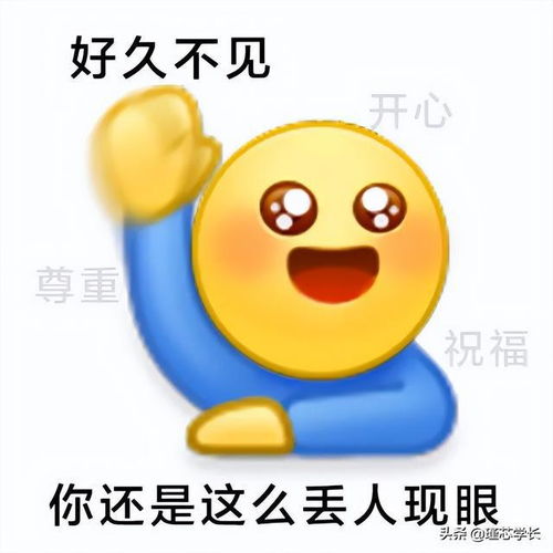 分享摆烂系列表情包,不仅有点傻傻的还很可爱