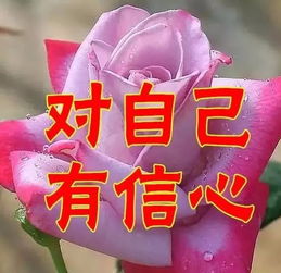 今天是12.31,一首 感恩2018年有你 送给微信里所有的朋友