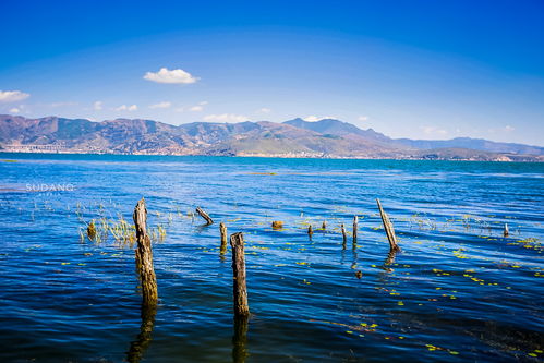 大理洱海最美的地方是哪里