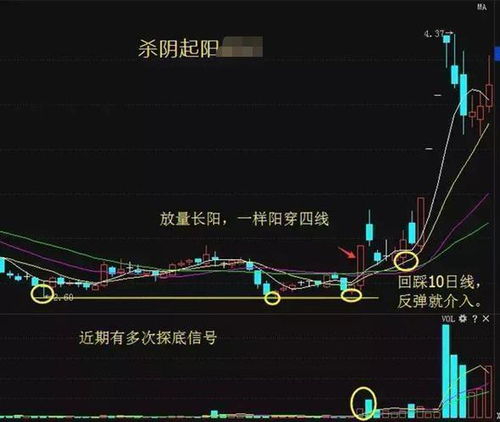 2022一2022中国股市（牛市）开始到结束涨幅最大的股票是