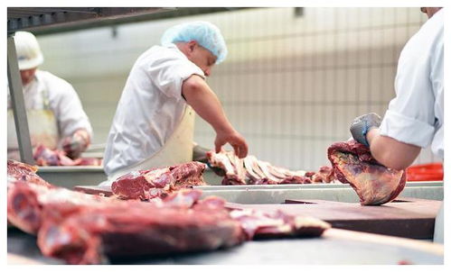 欧洲食品安全再次升级,德国肉质加工厂半数员工以上感染肺炎
