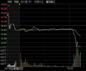 股价迅速跌停，公司有什么解释