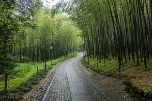  杭州湘湖景区的交通方式？哪种方式最方便？