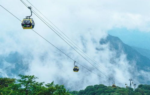 梵净山很坑不建议去 那是你游玩方式不对,此份达人攻略请收好