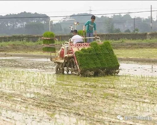 那 之旅启动仪式 带你去广袤的田野里走走