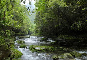 沅陵凤凰山 借母溪 白河谷度假区汽车纯玩2日游 沅陵山水 避暑天堂