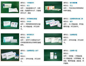 齐鲁制药有限公司的概况