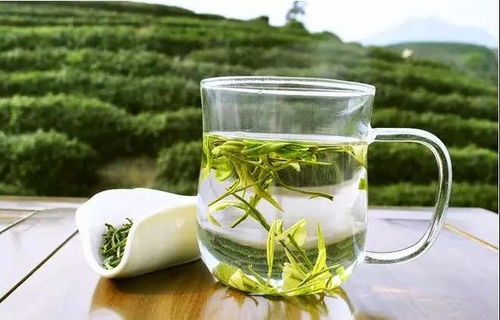 喝白开水好还是喝绿茶好 可以用绿茶代替白开水吗
