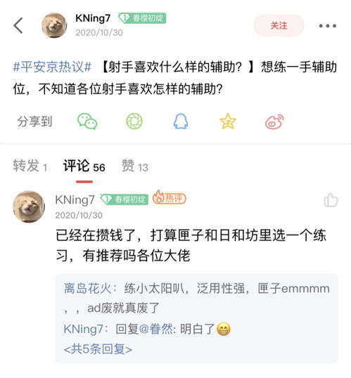 射手最喜欢什么样的辅助 决战 平安京 玩家祭出标准答案